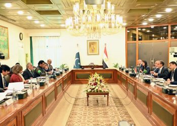 مشاورات سياسية بين وزيرى الخارجية المصرى والباكستاني فى إسلام آباد