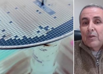 جوجل تنافس بقوة: هل تسقط TPU هيمنة إنفيديا ؟|صباح جديد