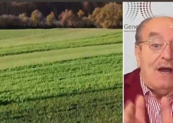 الذكاء الاصطناعي يحرص المحاصيل..الصين تطلق نموذجا مبتكرا للأراضي الزراعية|صباح جديد