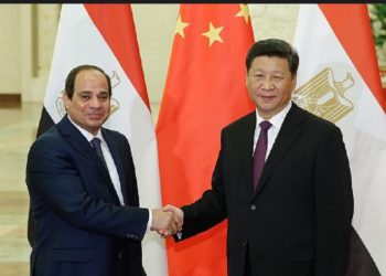 جهود الرئيسين السيسى وتشى جين بنج حققت نقلة كبرى في علاقات مصر والصين