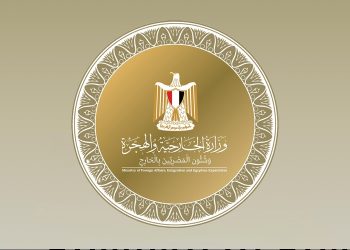 عام استثنائي من النجاحات الانتخابية الدولية للدبلوماسية المصرية
