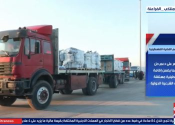 جهود مصر لدعم القضية الفلسطينية