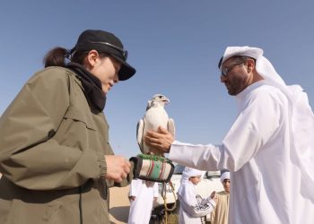 النسخة الثالثة من برنامج الصقارة الإماراتي الياباني تنطلق بعد غد