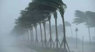 مع التقلبات الجوية.. وزارة الصحة توجه نصائح عاجلة لحماية الجهاز التنفسى