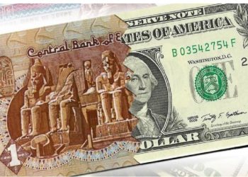 سعر الدولار أمام الجنيه المصري اليوم السبت