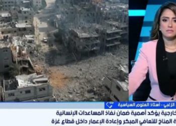 سعيد الزغبي أستاذ العلوم السياسية: القيادة الدبلوماسية المصرية لعبت دورًا رئيسيًا في تعزيز الاستقرار بالشرق الأوسط