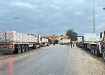 بآلاف الأطنان.. قافلة المساعدات المصرية الـ117 تنطلق إلى غزة