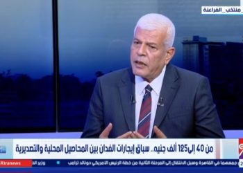 د. سيد خليفة نقيب الزراعيين: الدولة تتدخل في الأراضي التى تملكها.. ولكن الأراضي الخاصة ترجع للعرض والطلب