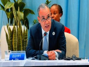 دكتور بدر عبدالعاطي وزير الخارجية المصري 